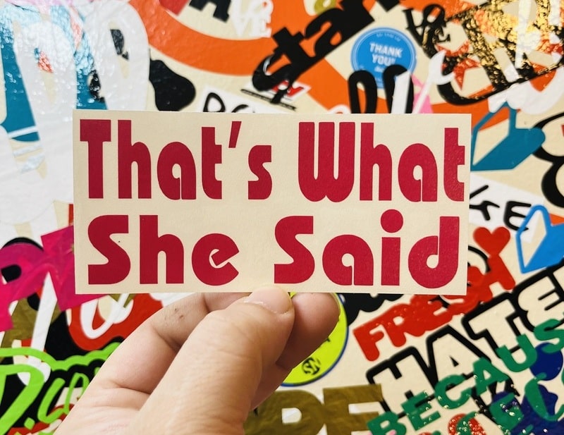 That's What She Said Sticker - Window Decal - STICKERNERD.COM