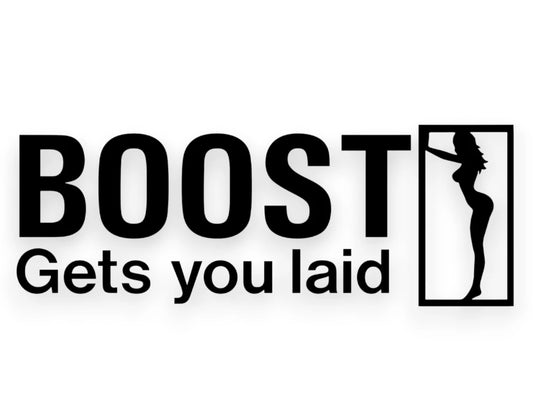 Boost Gets You Laid Sticker