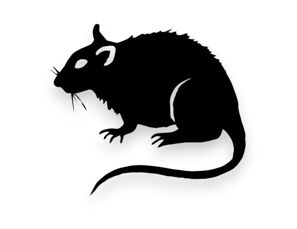 Rat Sticker - Decal - STICKERNERD.COM