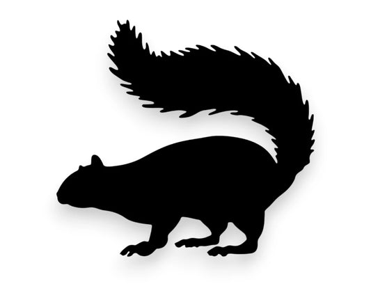 Squirrel Sticker - Window Decal - STICKERNERD.COM