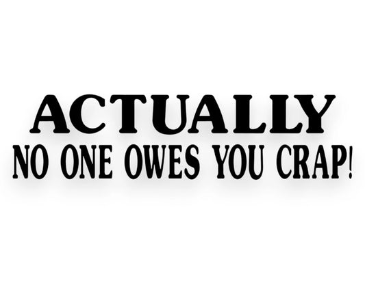 Actually No One Owes You Crap Sticker - Funny Decal - STICKERNERD.COM